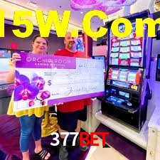 Tournaments 377Bet